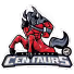 ROSSMANN Centaurs