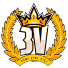 3v Team