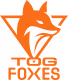 TeamOrangeGaming