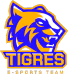 SDM Tigres