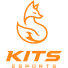 Kits Esports