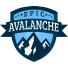Epic Avalanche