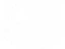 Team zxcursed