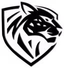 Ilbirs eSports