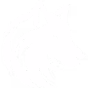 Zeu5 Esports