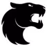 FURIA Esports