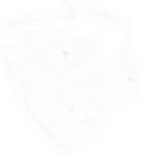 Gatorian
