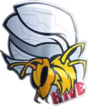 Hive