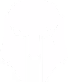 Team Brute