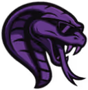 Team Cobra