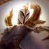 Kayle Kayle