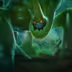 Zac Zac
