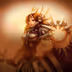 Leona Leona