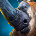 Magnus Magnus